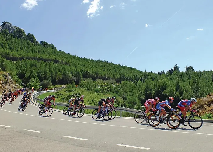 Stjepana Ivicevica I