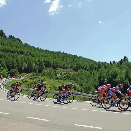 Stjepana Ivicevica I